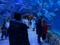 -华夏文旅海洋公园