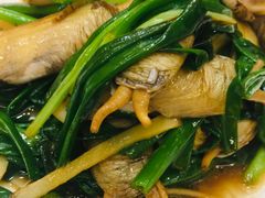 -骆驼阿三饭店(迪赛邻里店)