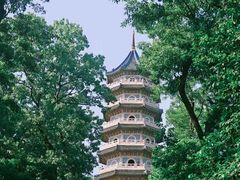 -灵谷景区