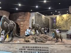 -中国西峡恐龙遗迹园