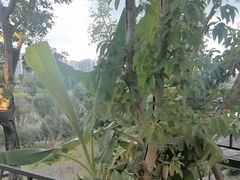 -茅草房·河畔园林火锅