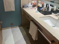 -成都明宇丽雅饭店