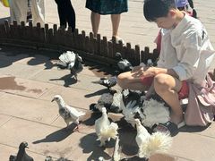 -哈尔滨波塞冬海底世界