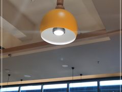 -杨氏青龙虾·羊蝎子(金盛路总店)