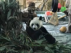 -泉州海丝野生动物世界