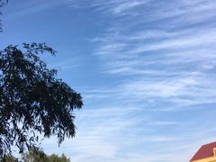 -金孔雀温泉旅游度假村