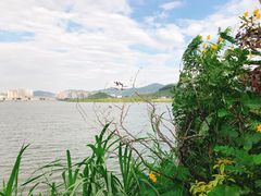 景点-立新湖公园