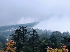 -峨眉山风景名胜区