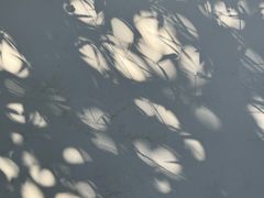 -水绘园