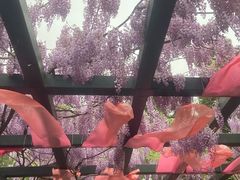 -北京市劳动人民文化宫(太庙)