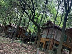 -洪湖悦兮半岛国际温泉度假村