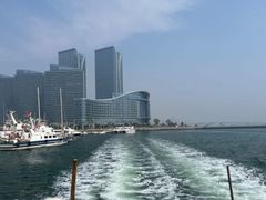 -渡海小渔村.老辈日照菜