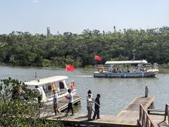 -东寨港红树林旅游区