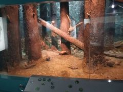 -吉林省自然博物馆
