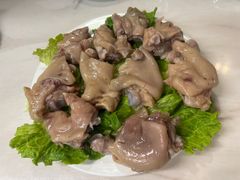 -丁老爷子苏香圆