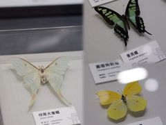 -四川大学博物馆
