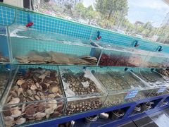 -仙螺岛海鲜自助餐厅(总店)