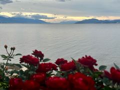 -大理洱海