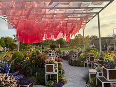 -上海植物园-4号门售票处