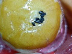 蛋黄酥-永昌饼家(西华路店)