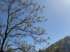 -秦岭终南山世界地质公园翠华山景区