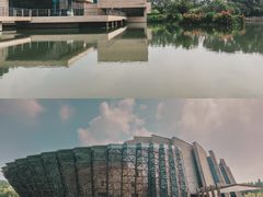 -乌镇景区