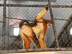 -哈尔滨北方森林动物园