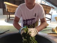 -美的鹭湖森林度假区