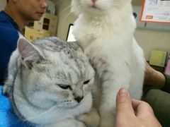 -芭比堂动物医院·犬猫全科·异宠专科(雁塔分院)