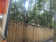 -二荆条·蜀鲜汇城市森林火锅