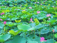 -泰州站