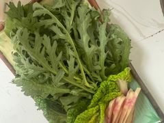 -菌之家·专业纯野生菌火锅·特色炒菌