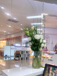-YESIDO椰岛造型