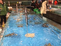 -宝燕海货工场(长江国际店)