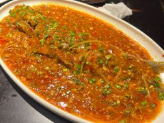 -陈麻婆豆腐总店