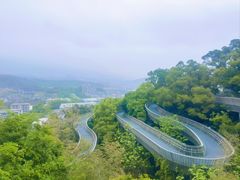 -福道
