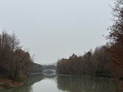 -自然谷恐龙园