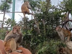 -重庆云阳龙缸景区