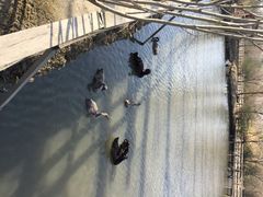 iphone_upload_pic-溱湖国家湿地公园