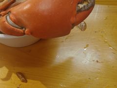 -养牛邓·潮汕牛肉海鲜自助火锅(广州店)