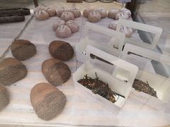 -奈雪的茶(金地广场店)