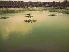 -千龙湖生态旅游度假区