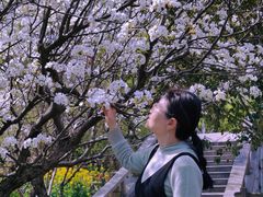-南汇桃花村