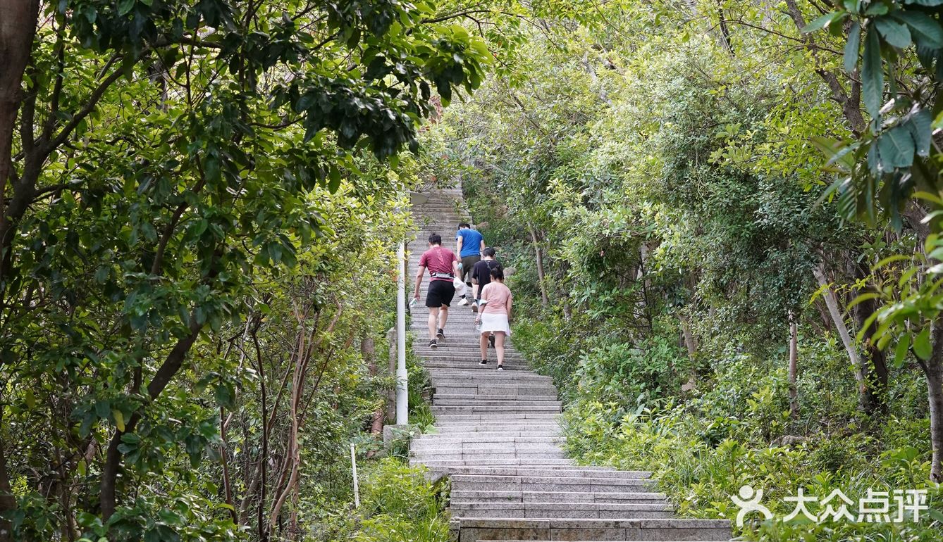 南山南，看妈湾