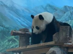 -武汉动物园