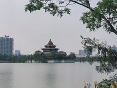 -顺峰山公园
