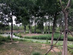 -东郊湿地公园