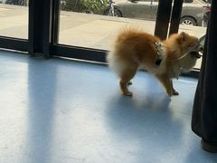 -博特宠物医院24h犬猫全科.骨科·异宠
