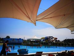 -海盗传奇水世界