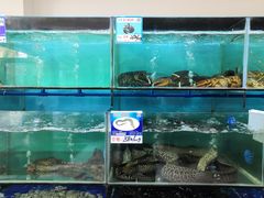 水产区-南海渔家•海鲜•正宗海南菜(海棠湾店)